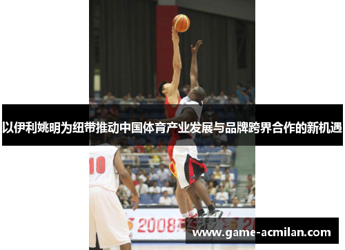 以伊利姚明为纽带推动中国体育产业发展与品牌跨界合作的新机遇